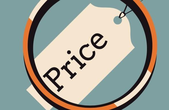 What is the important of Pricing in Marketing